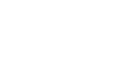 Ladyvision